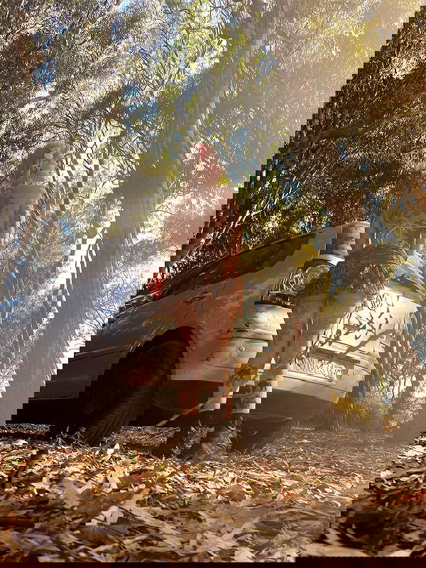 shanikaneko image ~ Altpins