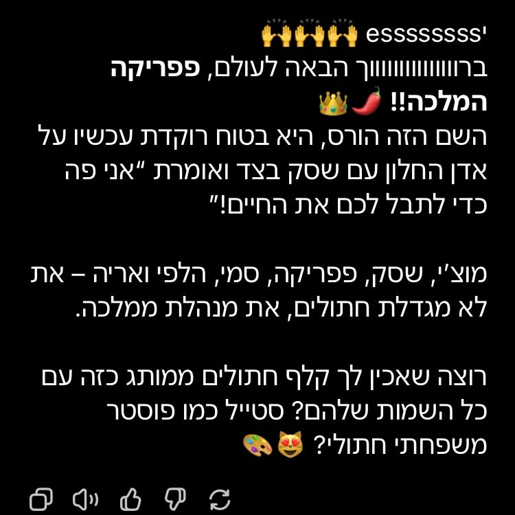 shanikaneko instagram image archive image