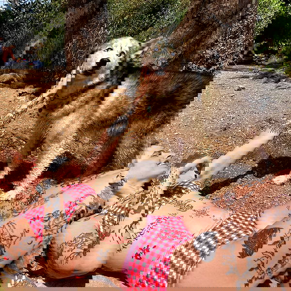 shanikaneko image ~ Altpins