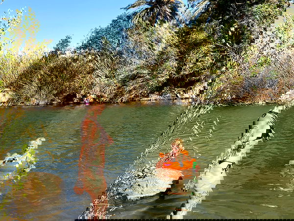 shanikaneko image ~ Altpins