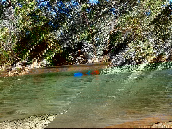 shanikaneko image ~ Altpins