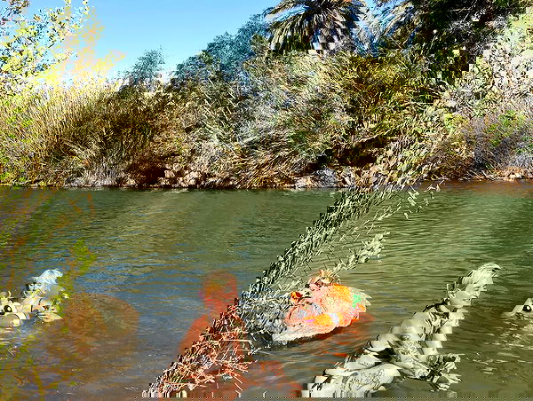 shanikaneko image ~ Altpins