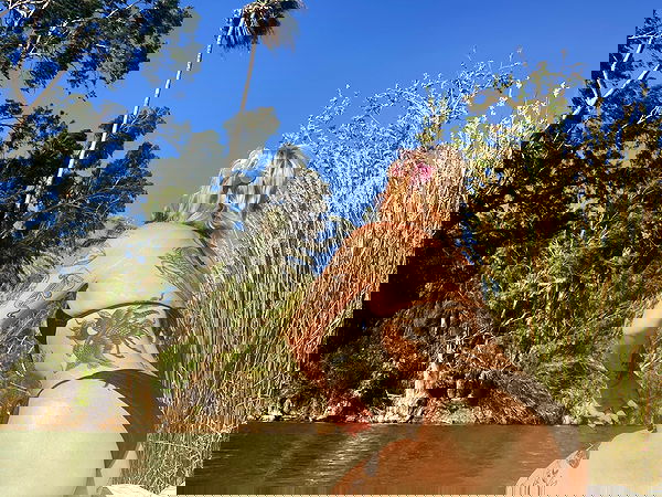 shanikaneko image ~ Altpins