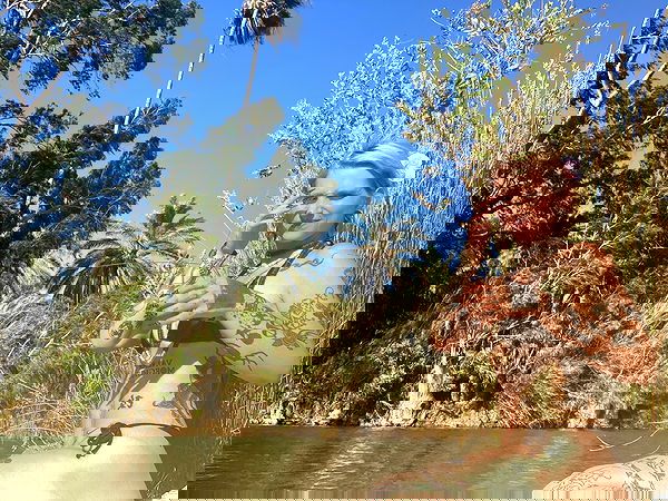 shanikaneko image ~ Altpins