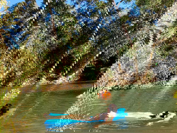 shanikaneko image ~ Altpins