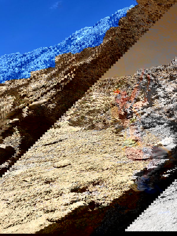 shanikaneko image ~ Altpins