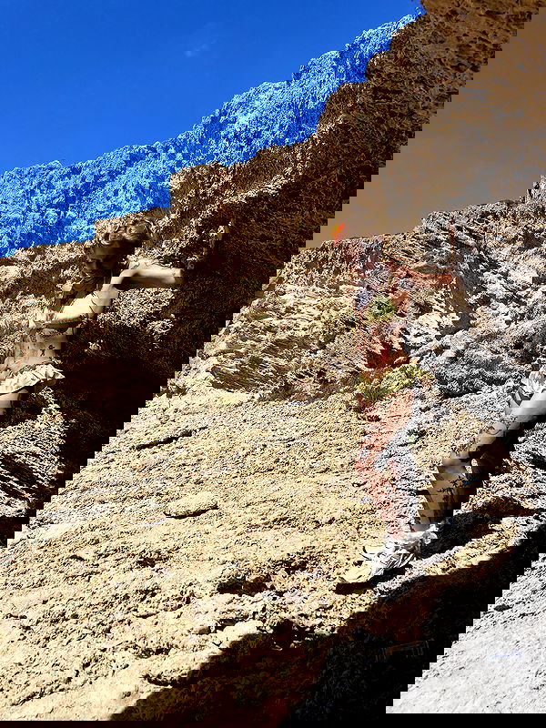 shanikaneko image ~ Altpins