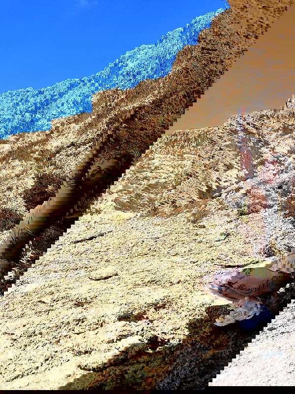 shanikaneko image ~ Altpins