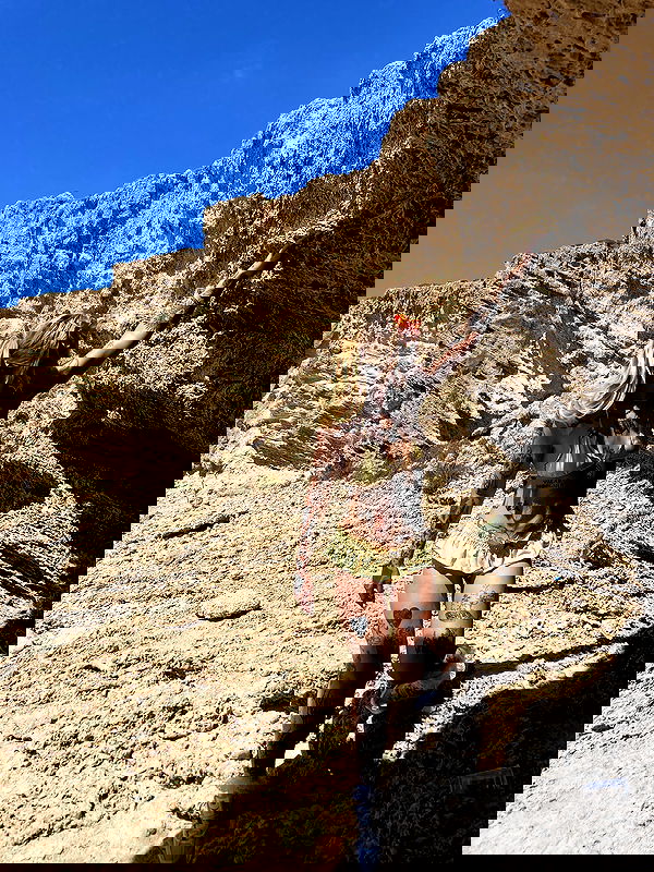 shanikaneko image ~ Altpins