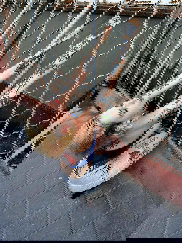 shanikaneko image ~ Altpins