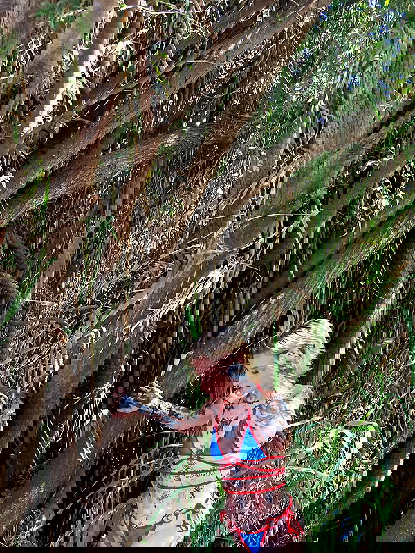 shanikaneko image ~ Altpins