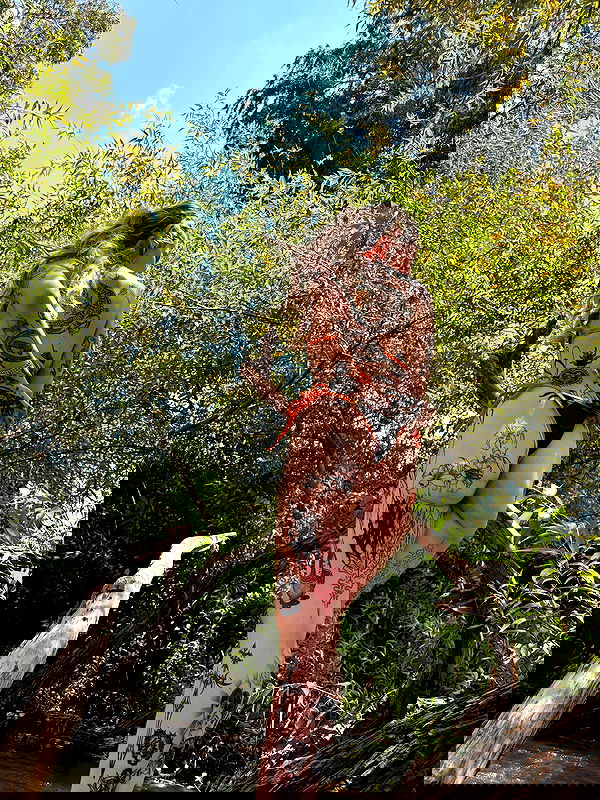 shanikaneko image ~ Altpins