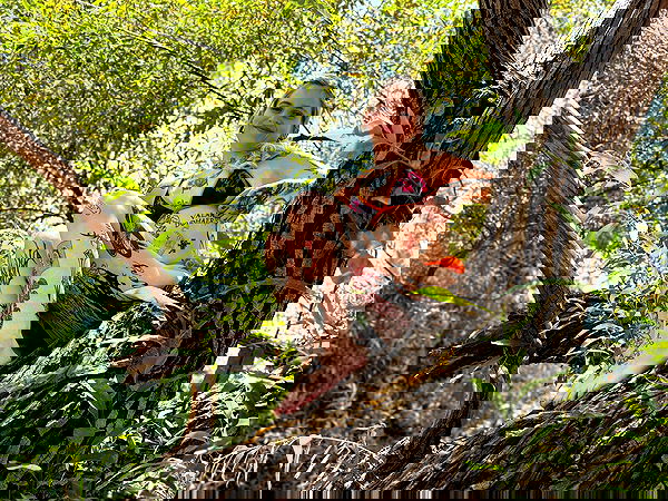 shanikaneko image ~ Altpins