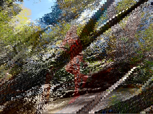 shanikaneko image ~ Altpins