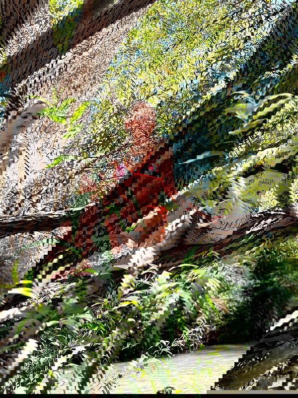 shanikaneko image ~ Altpins