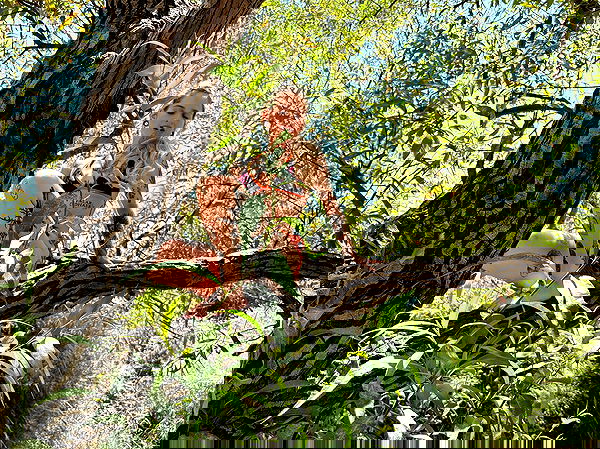 shanikaneko image ~ Altpins