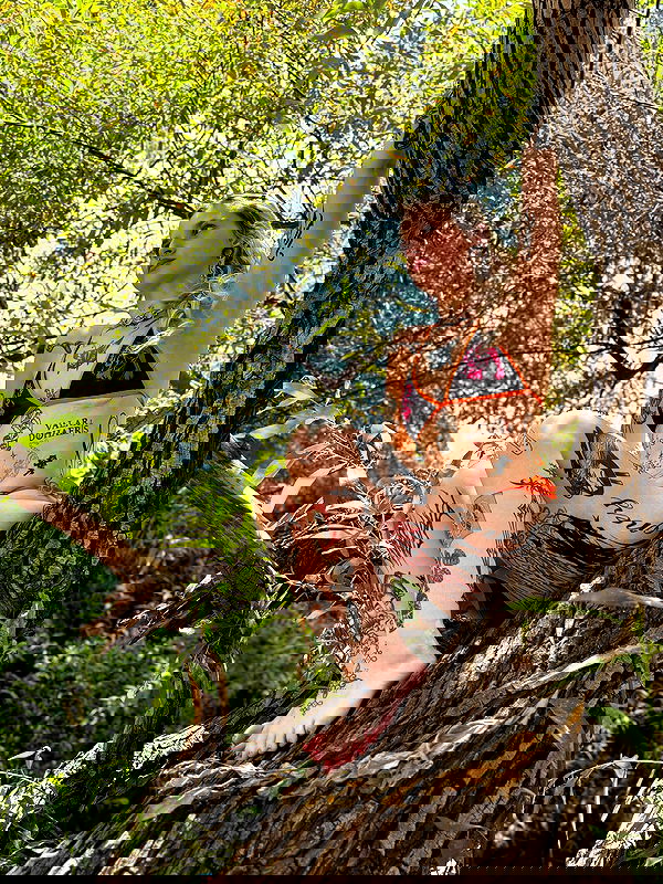 shanikaneko image ~ Altpins