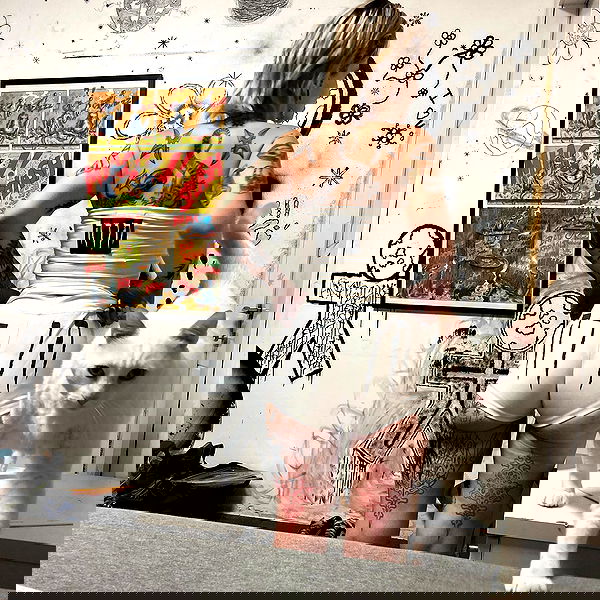 shanikaneko image ~ Altpins