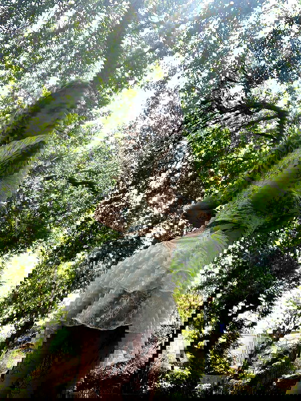 shanikaneko image ~ Altpins