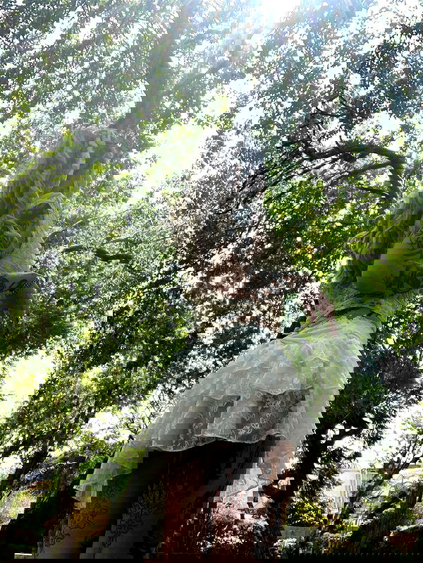 shanikaneko image ~ Altpins