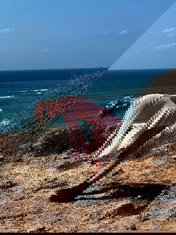 shanikaneko image ~ Altpins