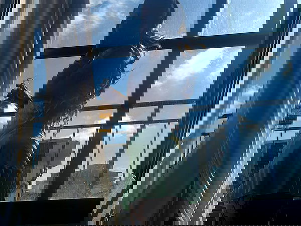 shanikaneko image ~ Altpins