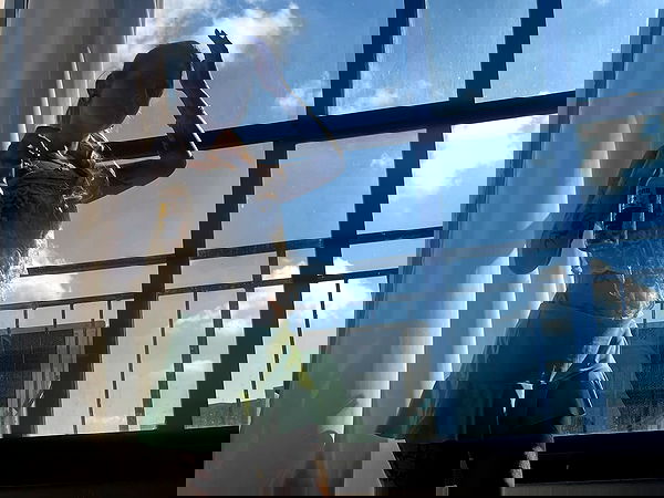 shanikaneko image ~ Altpins