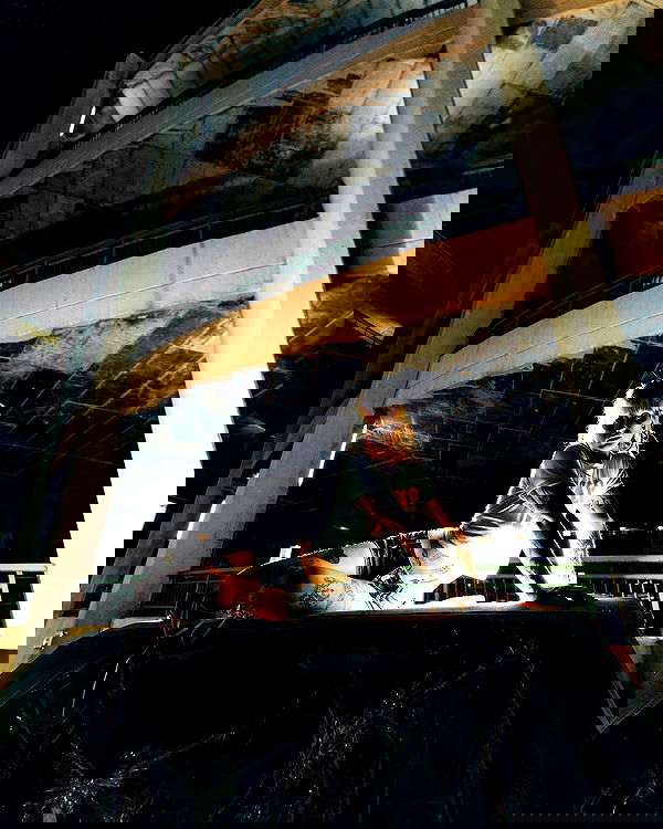 shanikaneko image ~ Altpins