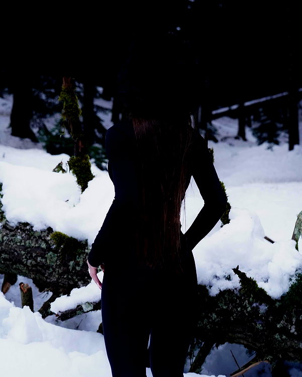 shavgulidzenatt instagram image archive image