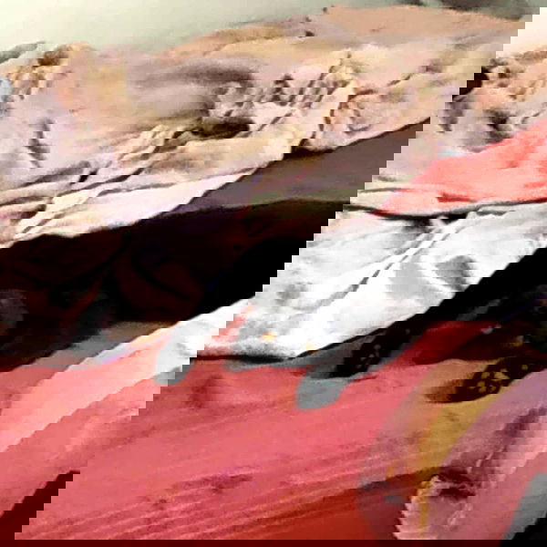 shayli_or shayli_or archive image