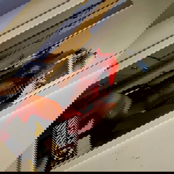 shayli_or shayli_or archive image