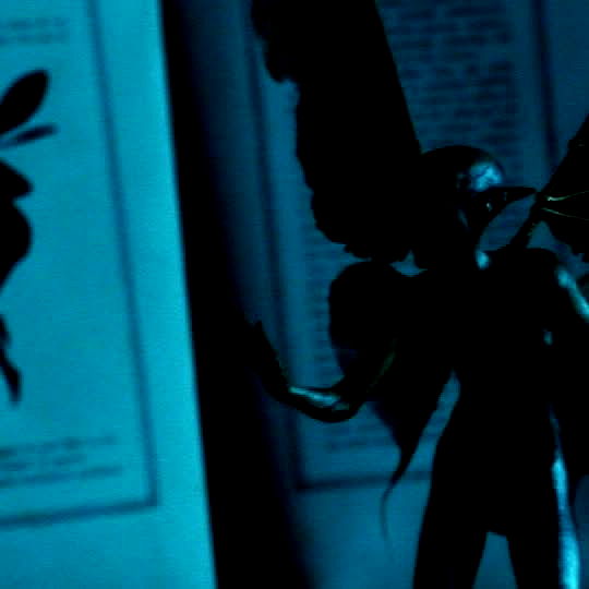 shayli_or shayli_or archive image