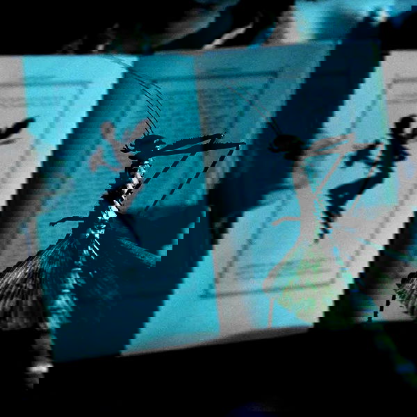 shayli_or shayli_or archive image