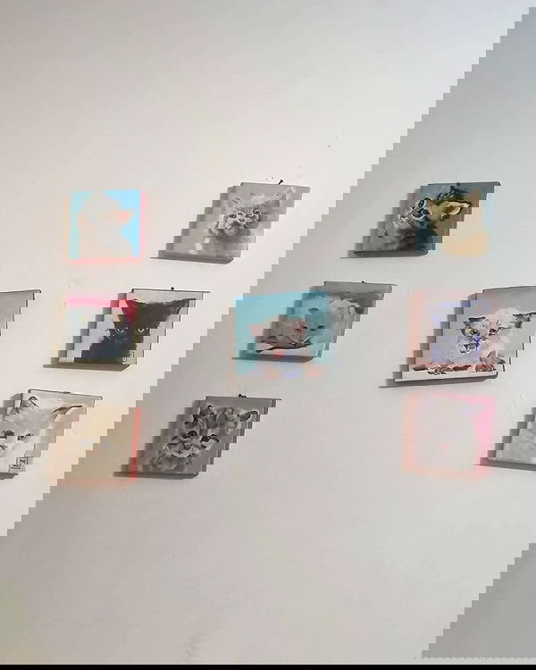 shayli_or shayli_or archive image