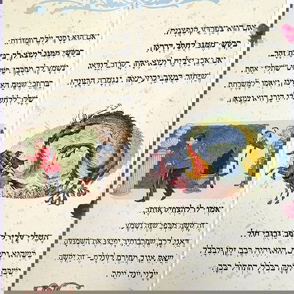 shayli_or shayli_or archive image