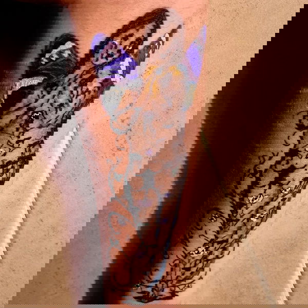 shayli_or shayli_or archive image