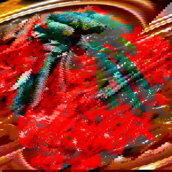 shayli_or shayli_or archive image