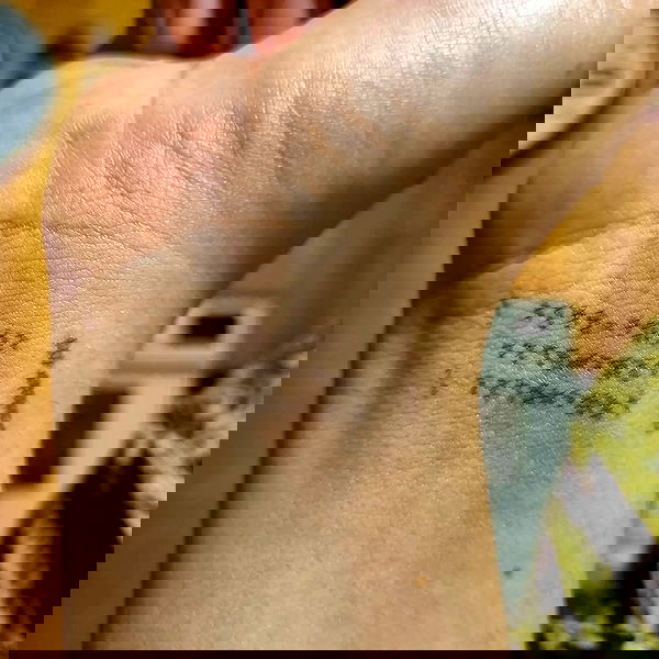 shayli_or shayli_or archive image