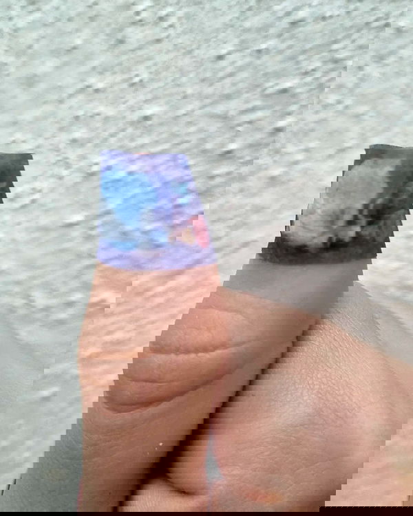 shayli_or shayli_or archive image