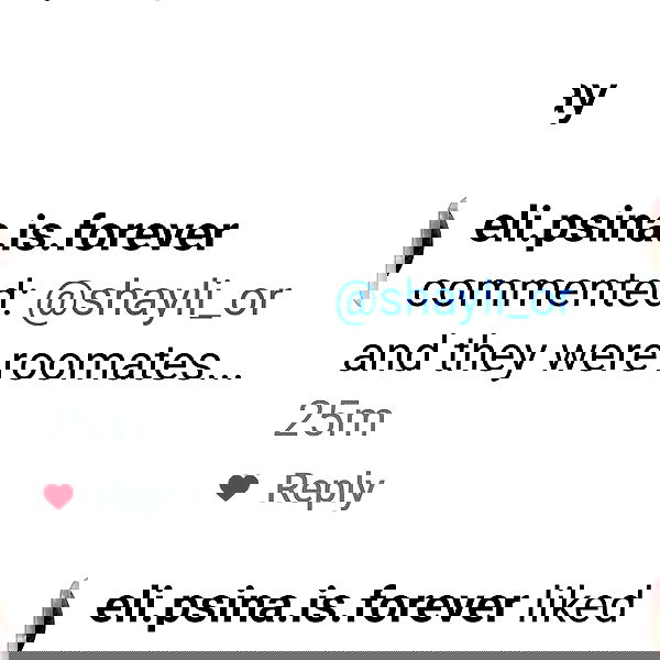 shayli_or shayli_or archive image