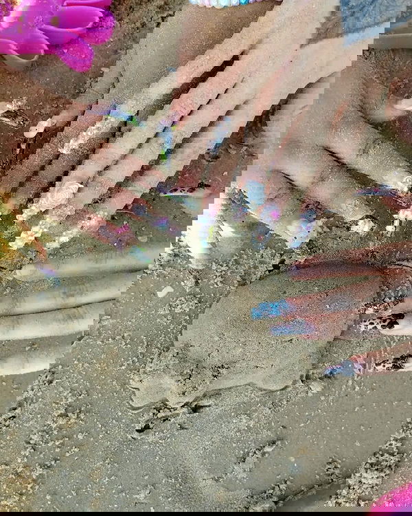 shayli_or shayli_or archive image