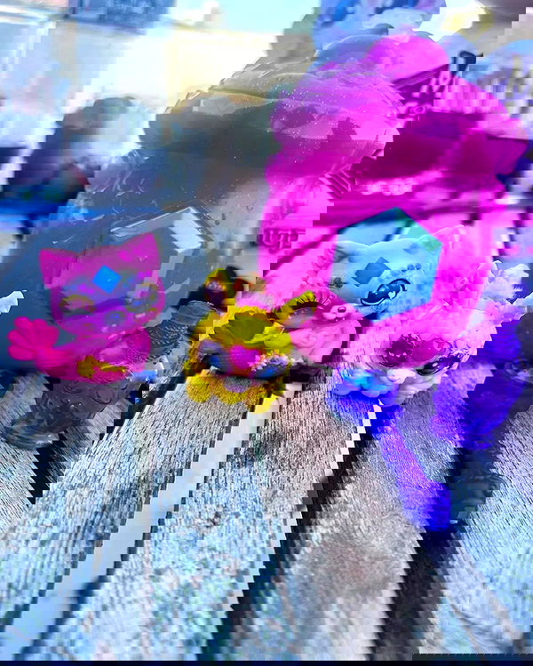 shayli_or shayli_or archive image