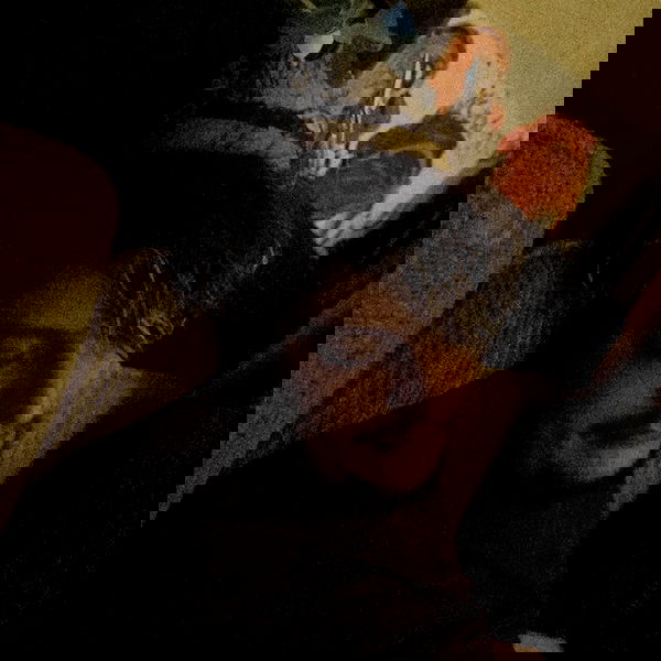 shayli_or shayli_or archive image