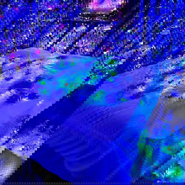 shayli_or shayli_or archive image