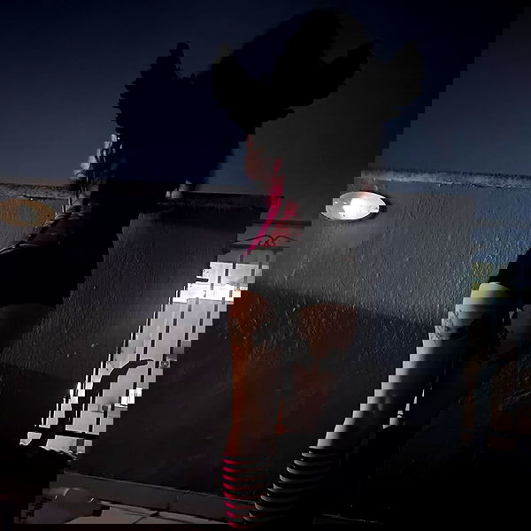 shayli_or shayli_or archive image