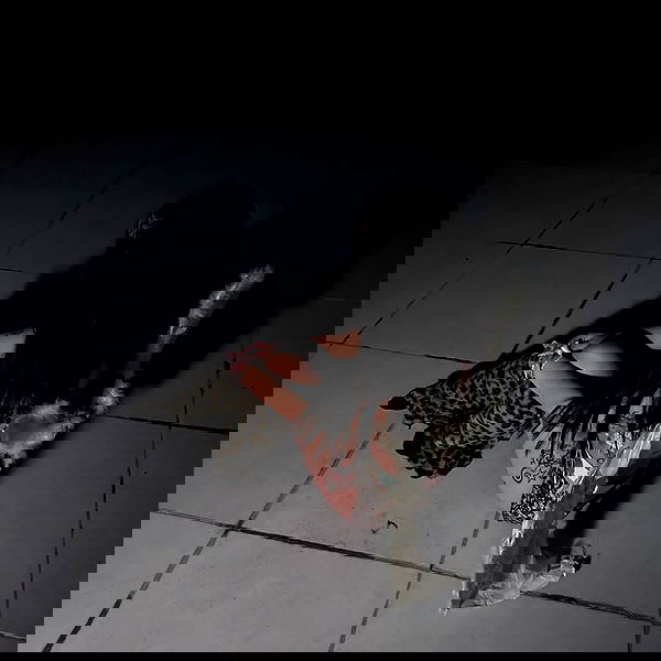 shayli_or shayli_or archive image