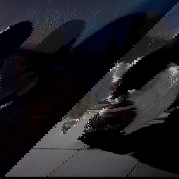 shayli_or shayli_or archive image