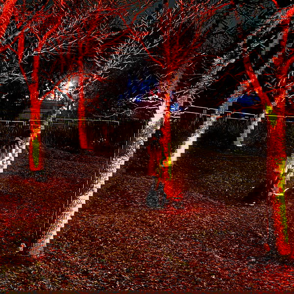 shayli_or shayli_or archive image