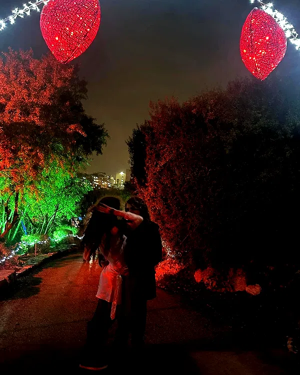 shayli_or shayli_or archive image