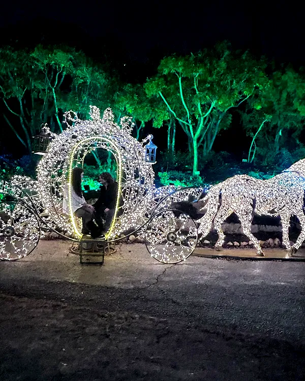 shayli_or shayli_or archive image